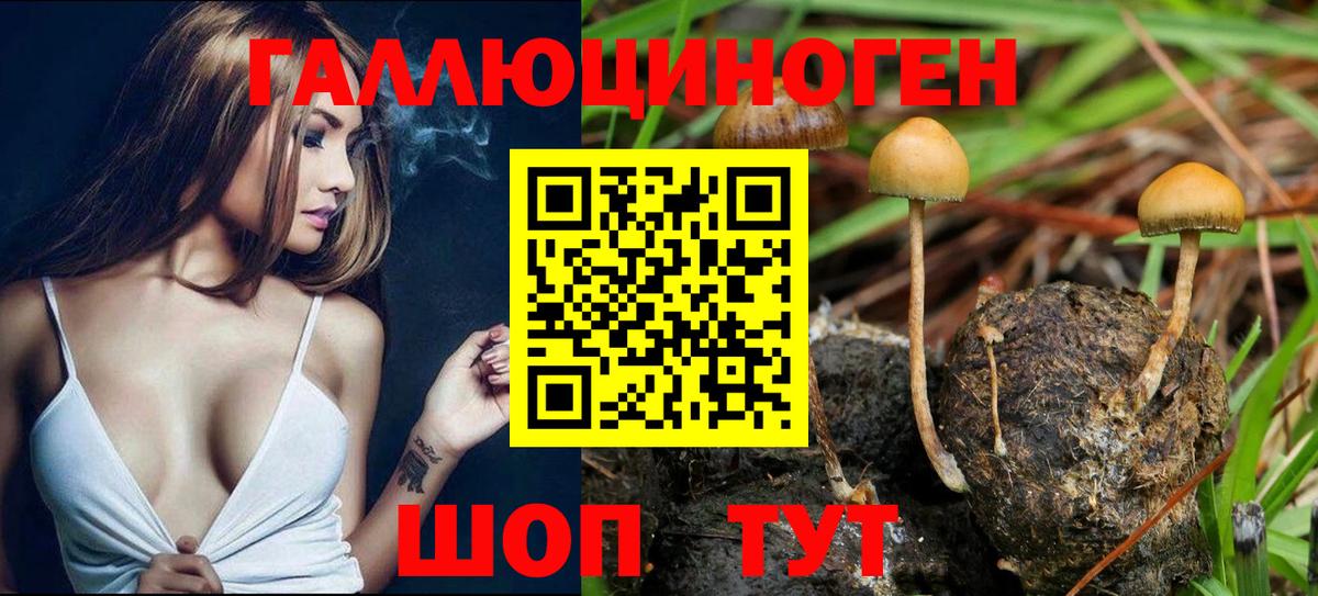 Сарапул  Галлюциногенные грибы ЛСД  Вход с VPN  Псилоцибиновые грибы Magic Shrooms 